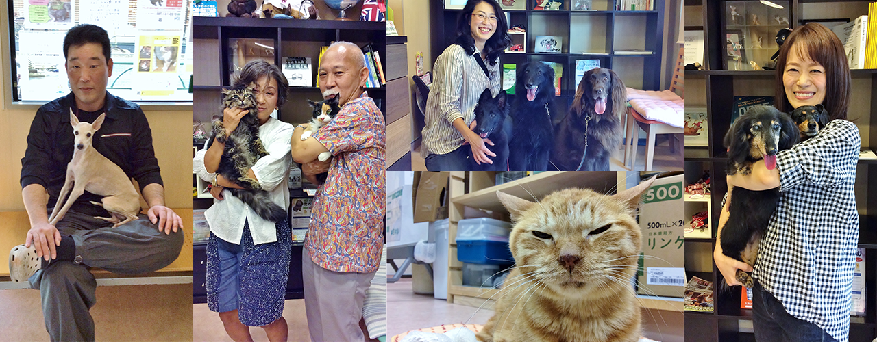 葛飾区柴又のだいき動物病院　画像０２