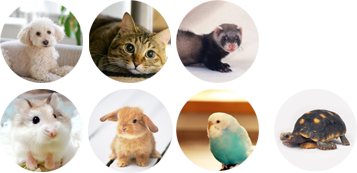 葛飾区柴又のだいき動物病院　画像077